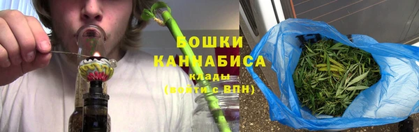 мдпв Бердск