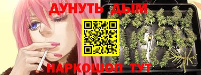 гидра Заволжье