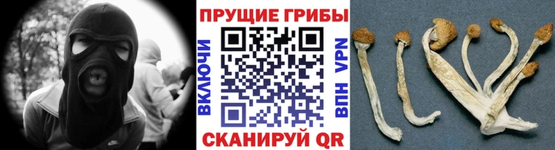 Галлюциногенные грибы GOLDEN TEACHER  Чайковский 