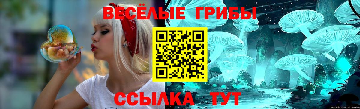 Галлюциногенные грибы мухоморы  Чайковский 